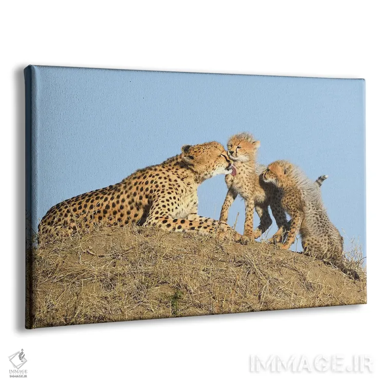 تابلو یوزپلنگ با تولهها اثر المر وایس - نمای پرسپکتیو محصول