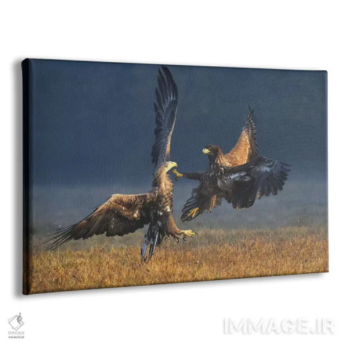 تابلو دوئل در صبح اثر المر وایس - نمای پرسپکتیو محصول