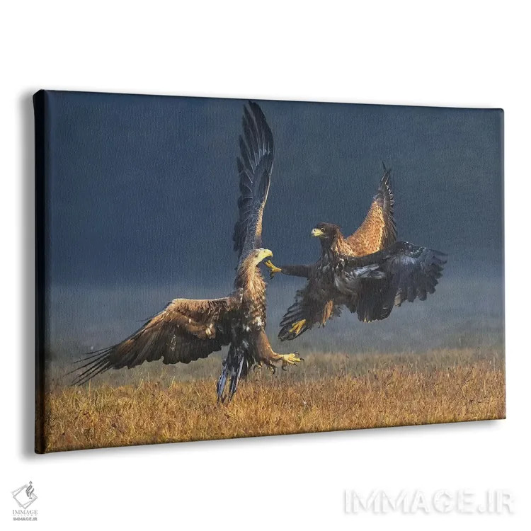 تابلو دوئل در صبح اثر المر وایس - نمای پرسپکتیو محصول