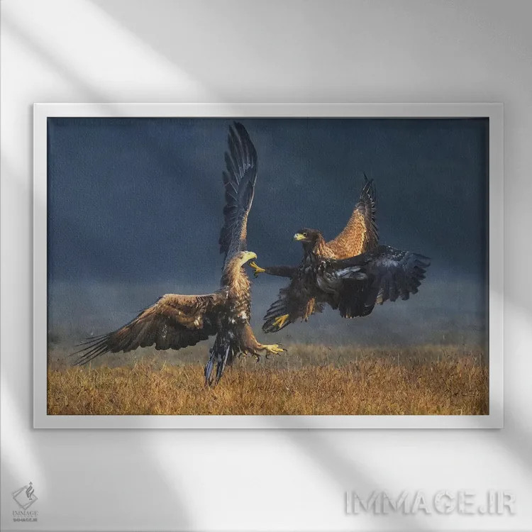 تابلو دوئل در صبح اثر المر وایس - نمای قابدار سفید