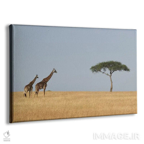 تابلو زرافهها و یک درخت اثر المر وایس - نمای پرسپکتیو محصول