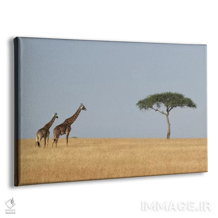 تابلو زرافهها و یک درخت اثر المر وایس - نمای پرسپکتیو محصول