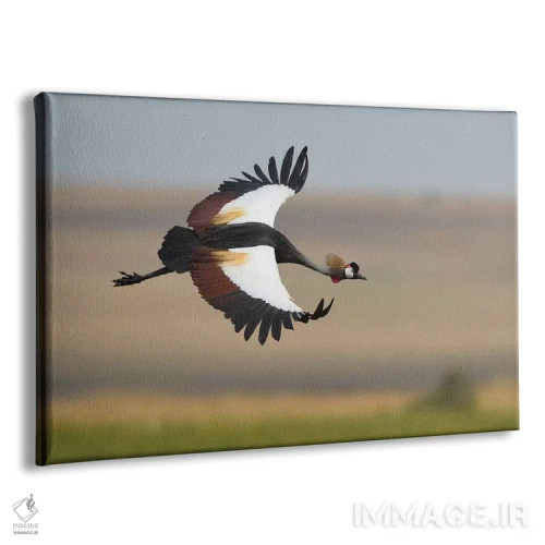 تابلو درنای تاجدار اثر المر وایس - نمای پرسپکتیو محصول