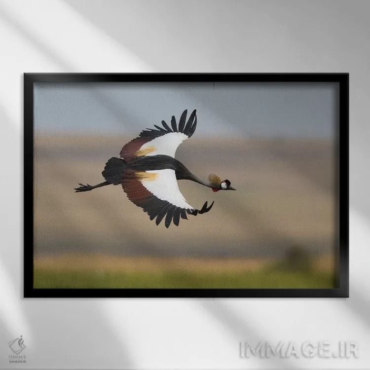 تابلو درنای تاجدار اثر المر وایس - نمای قابدار مشکی