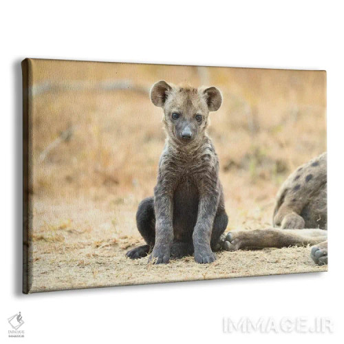 تابلو توله کفتار اثر المر وایس - نمای پرسپکتیو محصول