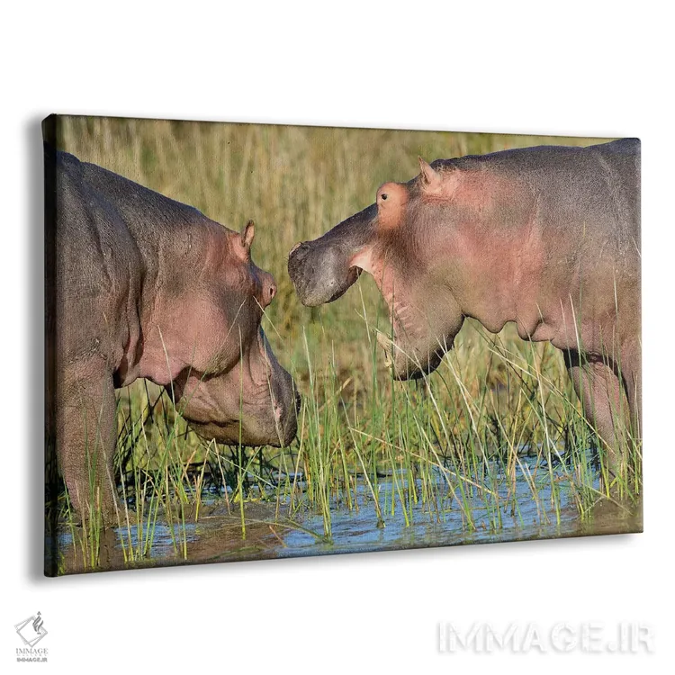 تابلو حفاظت اسب آبی اثر المر وایس - نمای پرسپکتیو محصول