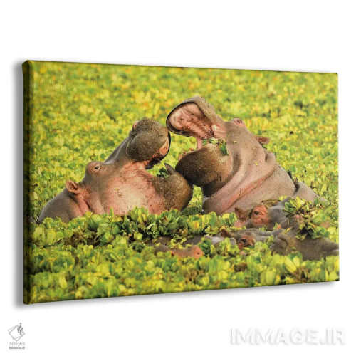 تابلو اسبهای آبی عاشق اثر المر وایس - نمای پرسپکتیو محصول