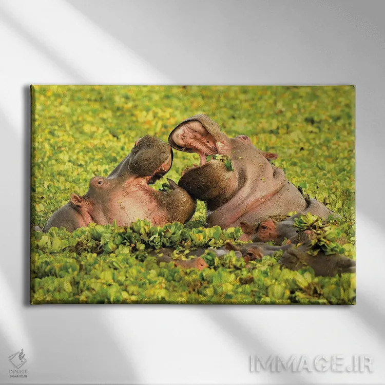 تابلو اسبهای آبی عاشق اثر المر وایس - نمای روبهرو روی دیوار