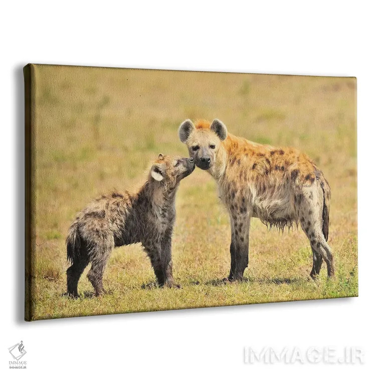 تابلو مادر کفتار و تولهاش اثر المر وایس - نمای پرسپکتیو محصول