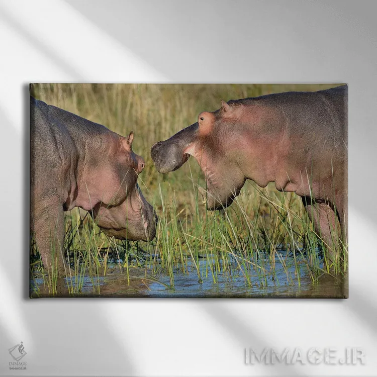 تابلو حفاظت اسب آبی اثر المر وایس - نمای روبهرو روی دیوار