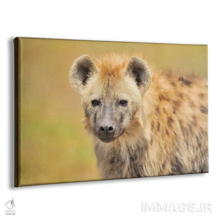 تابلو پرتره کفتار اثر المر وایس - نمای پرسپکتیو محصول