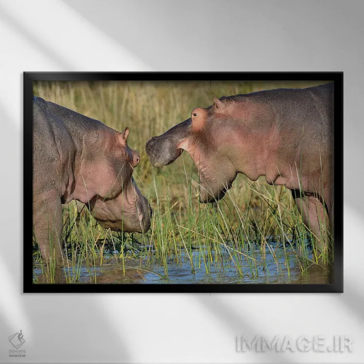 تابلو حفاظت اسب آبی اثر المر وایس - نمای قابدار مشکی