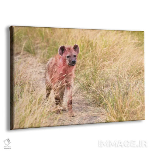 تابلو کفتار پس از خوردن شکار اثر المر وایس - نمای پرسپکتیو محصول