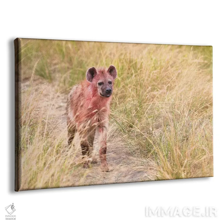 تابلو کفتار پس از خوردن شکار اثر المر وایس - نمای پرسپکتیو محصول