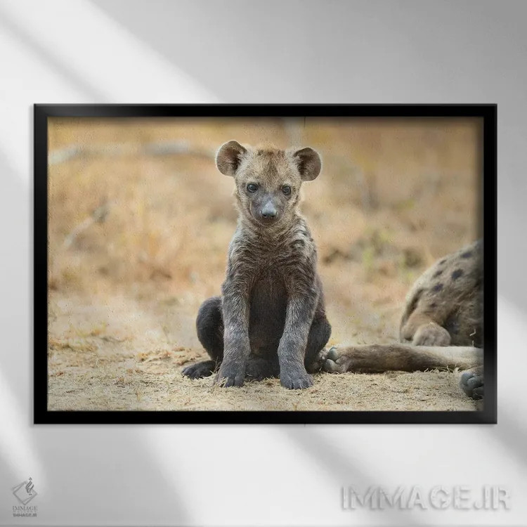 تابلو توله کفتار اثر المر وایس - نمای قابدار مشکی