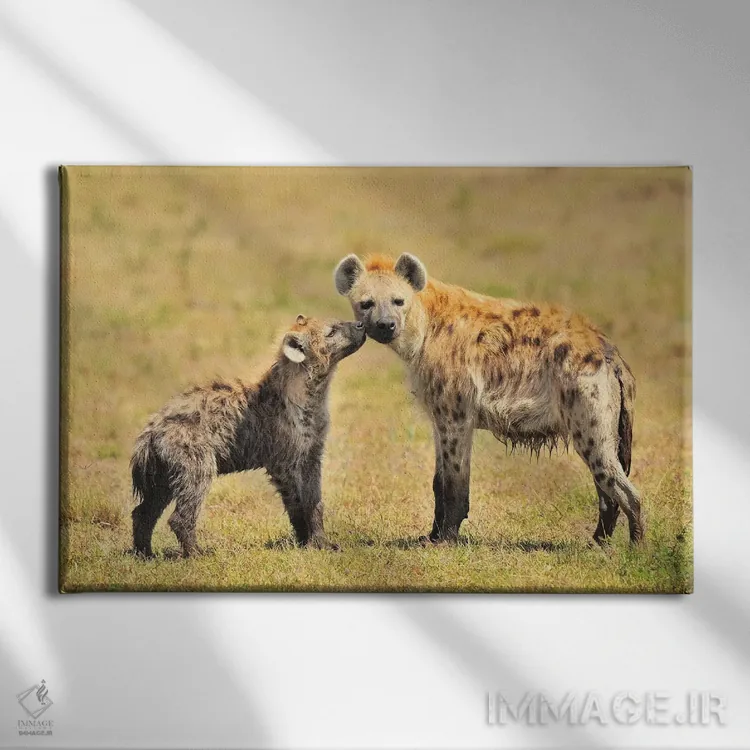 تابلو مادر کفتار و تولهاش اثر المر وایس - نمای روبهرو روی دیوار