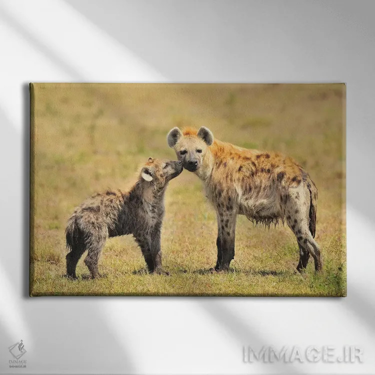 تابلو مادر کفتار و تولهاش اثر المر وایس - نمای روبهرو روی دیوار