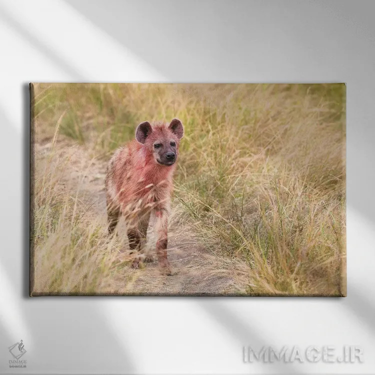 تابلو کفتار پس از خوردن شکار اثر المر وایس - نمای روبهرو روی دیوار