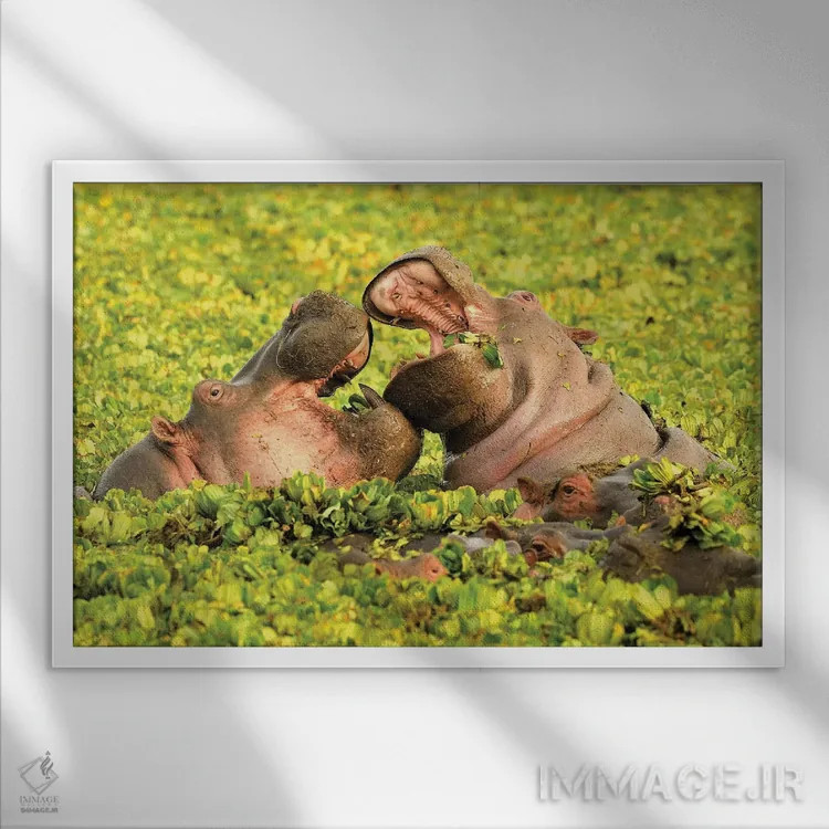 تابلو اسبهای آبی عاشق اثر المر وایس - نمای قابدار سفید