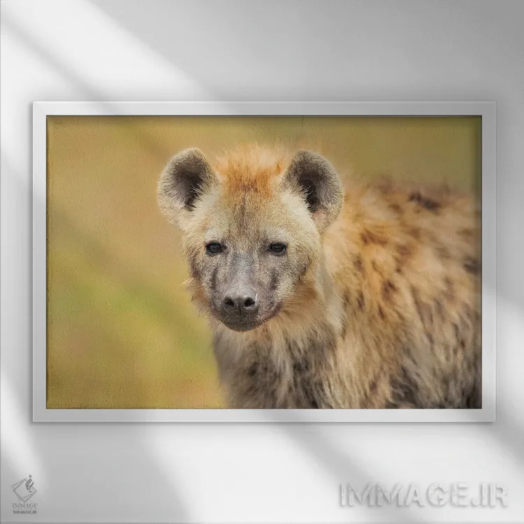 تابلو پرتره کفتار اثر المر وایس - نمای قابدار سفید