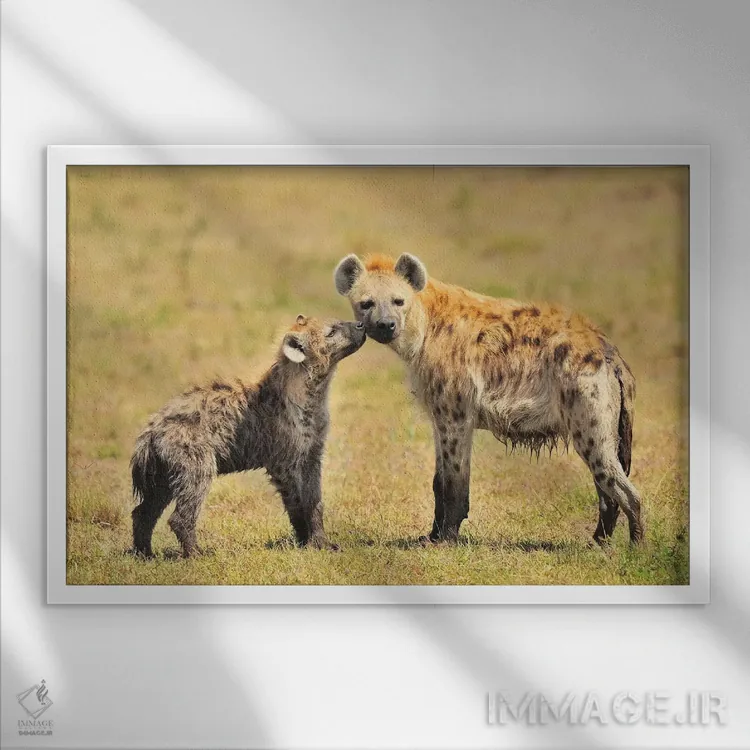 تابلو مادر کفتار و تولهاش اثر المر وایس - نمای قابدار سفید