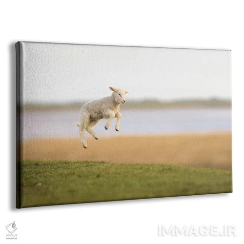 تابلو برهٔ جهنده ۱ اثر المر وایس - نمای پرسپکتیو محصول