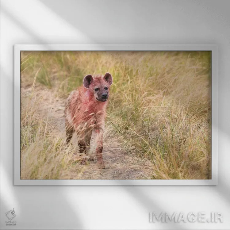 تابلو کفتار پس از خوردن شکار اثر المر وایس - نمای قابدار سفید