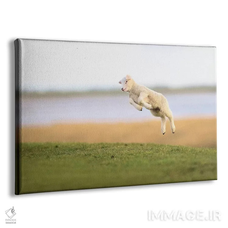 تابلو برهٔ جهنده ۳ اثر المر وایس - نمای پرسپکتیو محصول