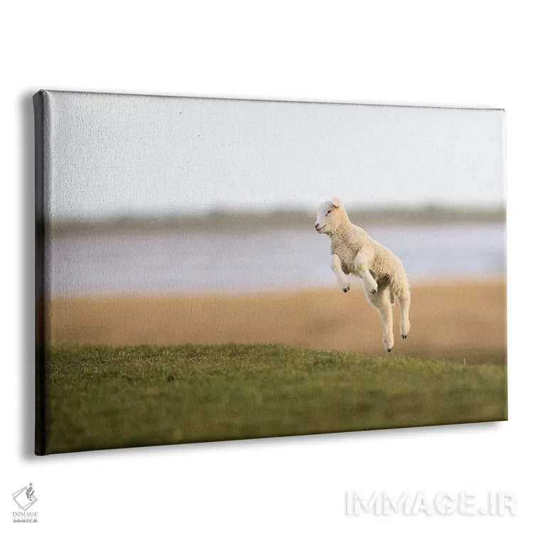 تابلو برهٔ جهنده ۲ اثر المر وایس - نمای پرسپکتیو محصول