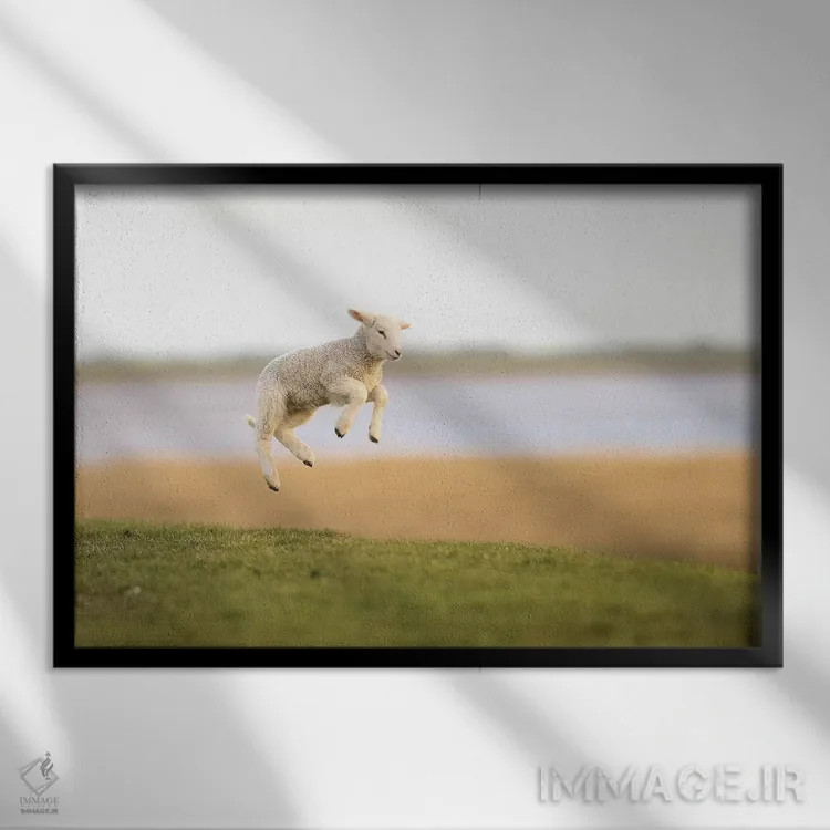 تابلو برهٔ جهنده ۱ اثر المر وایس - نمای قابدار مشکی