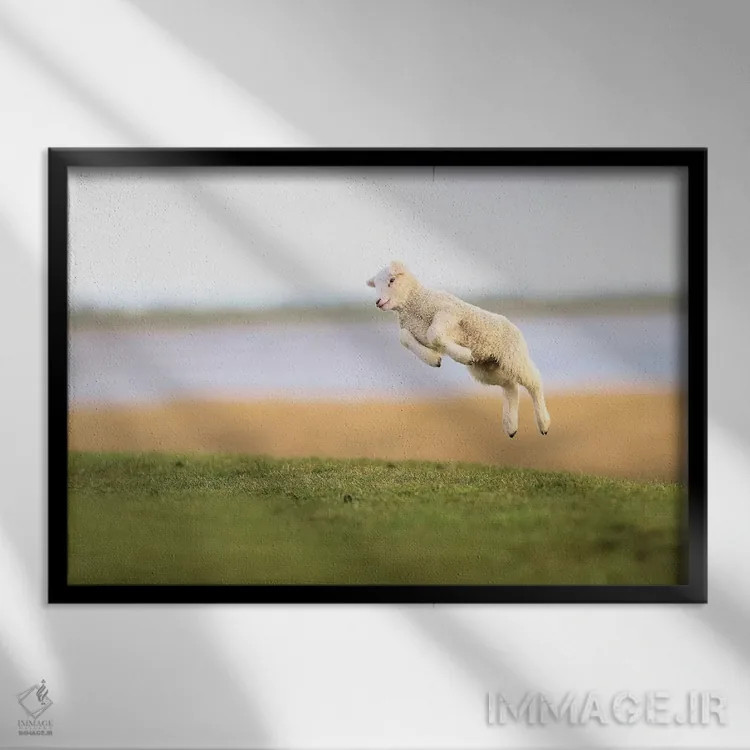 تابلو برهٔ جهنده ۳ اثر المر وایس - نمای قابدار مشکی