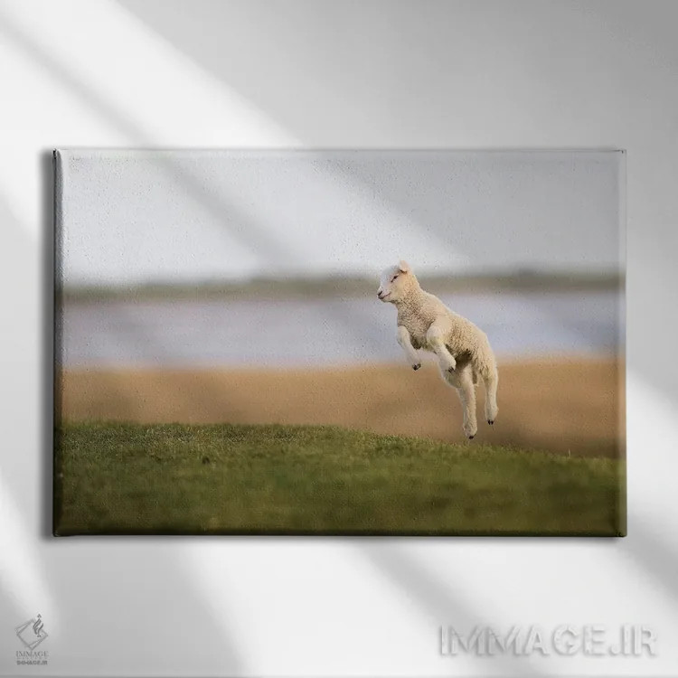 تابلو برهٔ جهنده ۲ اثر المر وایس - نمای روبهرو روی دیوار