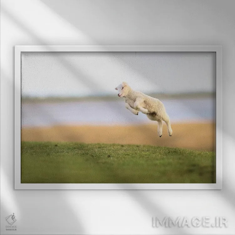 تابلو برهٔ جهنده ۳ اثر المر وایس - نمای قابدار سفید