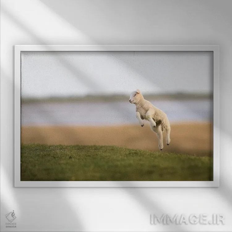 تابلو برهٔ جهنده ۲ اثر المر وایس - نمای قابدار سفید