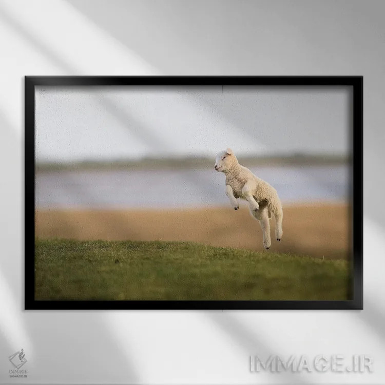 تابلو برهٔ جهنده ۲ اثر المر وایس - نمای قابدار مشکی