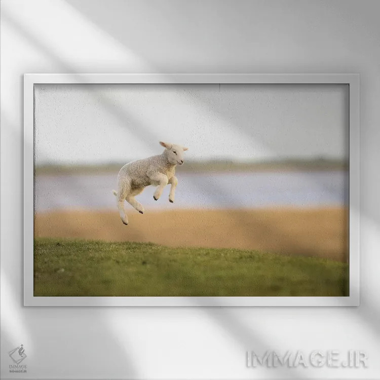 تابلو برهٔ جهنده ۱ اثر المر وایس - نمای قابدار سفید