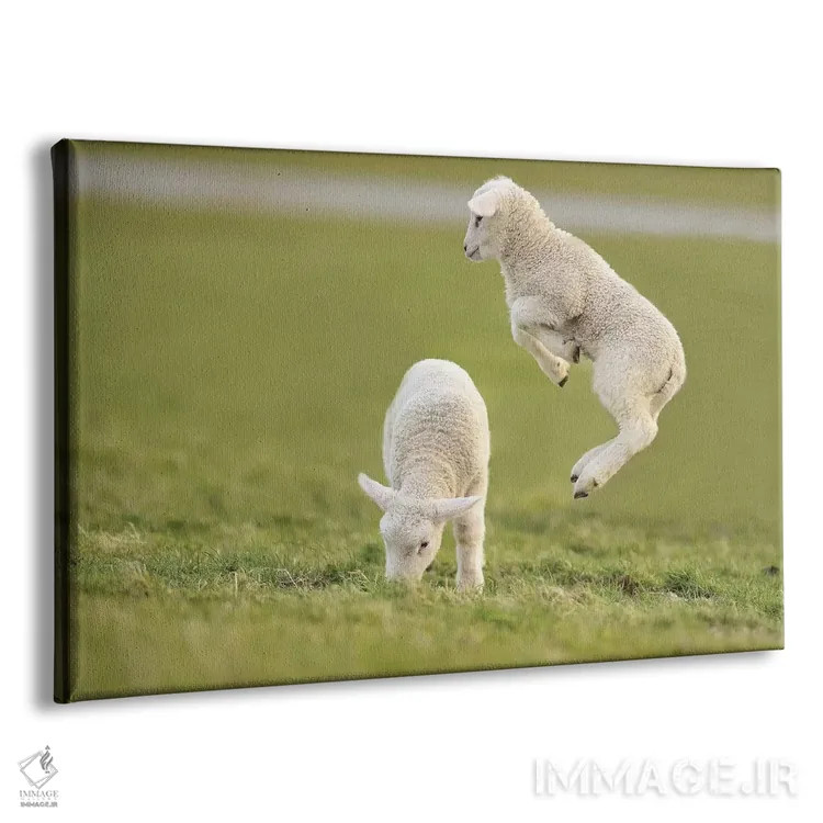 تابلو برهٔ جهنده ۴ اثر المر وایس - نمای پرسپکتیو محصول