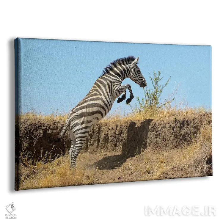 تابلو گورخر جهنده اثر المر وایس - نمای پرسپکتیو محصول