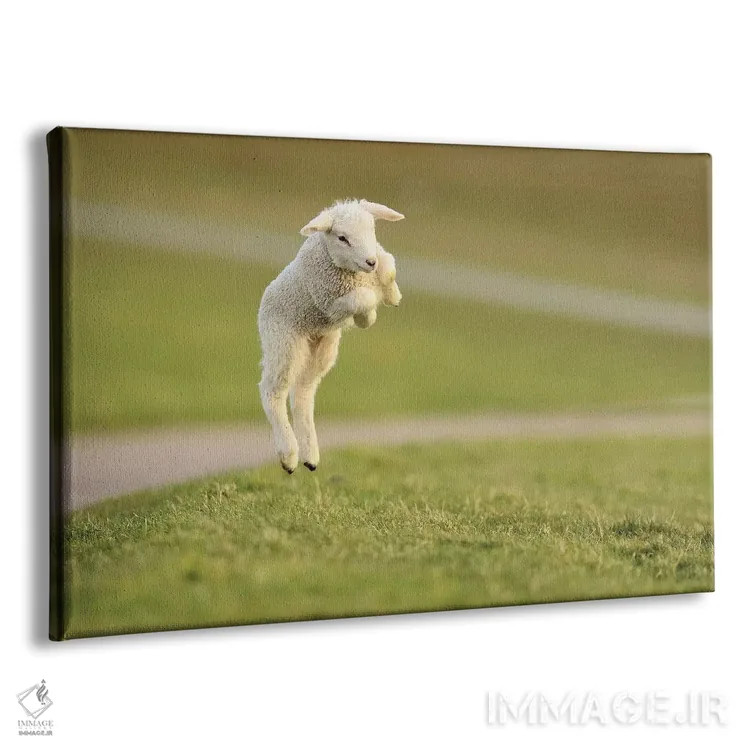 تابلو برهٔ جهنده ۸ اثر المر وایس - نمای پرسپکتیو محصول