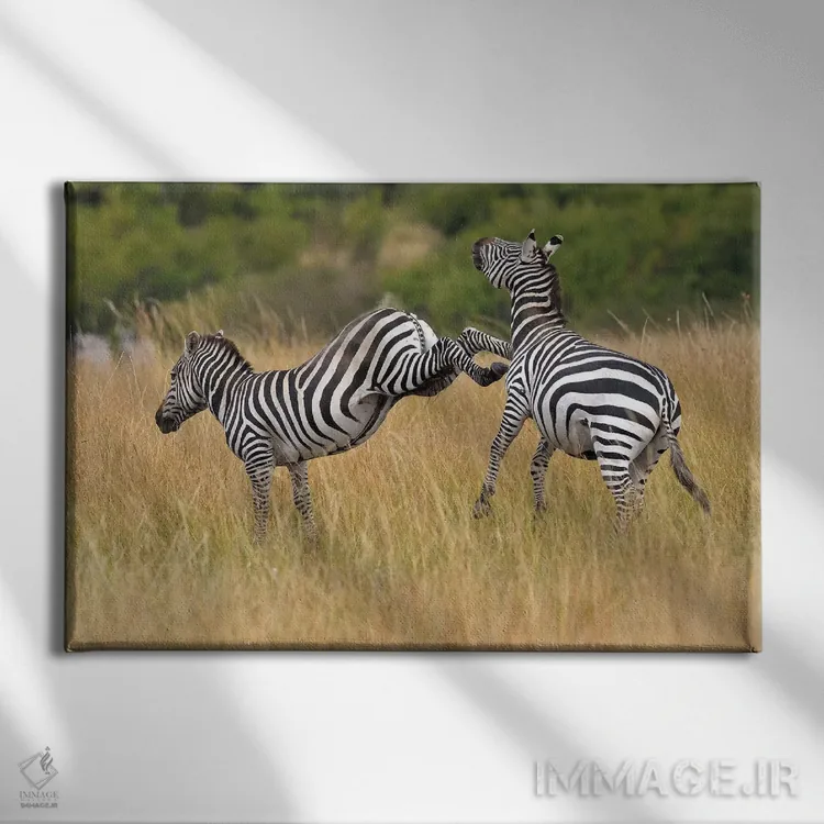 تابلو لگد زدن گورخر اثر المر وایس - نمای روبهرو روی دیوار