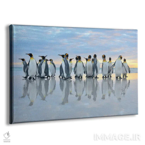 تابلو بازتاب پنگوئنهای پادشاه اثر المر وایس - نمای پرسپکتیو محصول