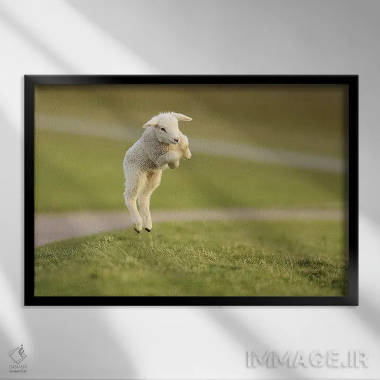 تابلو برهٔ جهنده ۸ اثر المر وایس - نمای قابدار مشکی