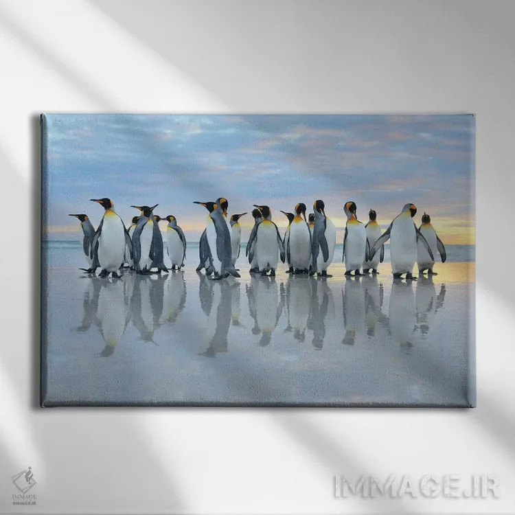 تابلو بازتاب پنگوئنهای پادشاه اثر المر وایس - نمای روبهرو روی دیوار