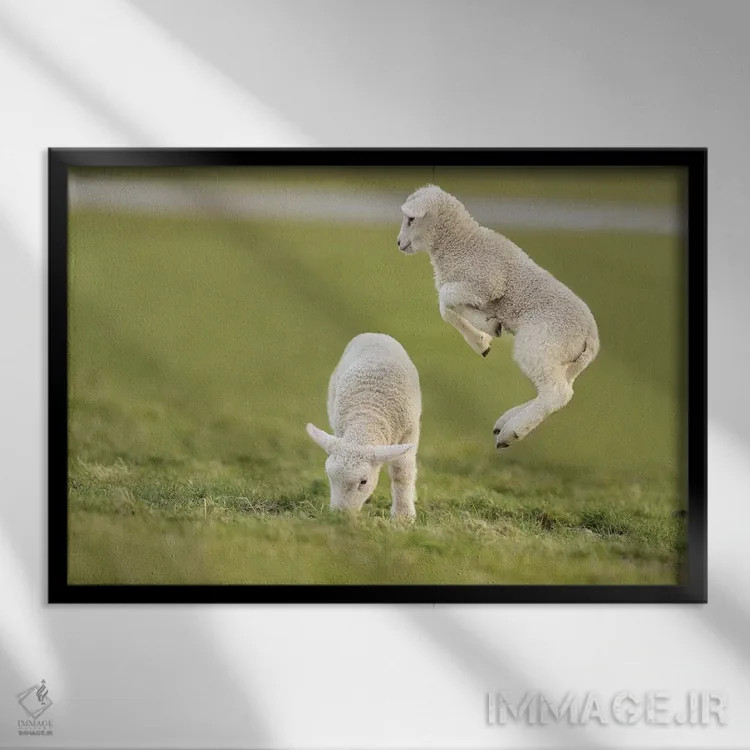 تابلو برهٔ جهنده ۴ اثر المر وایس - نمای قابدار مشکی