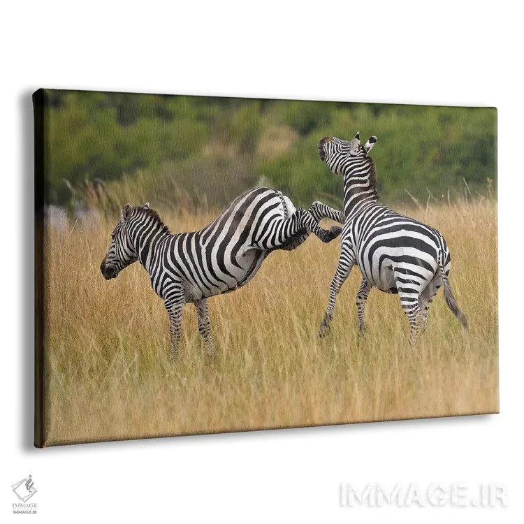 تابلو لگد زدن گورخر اثر المر وایس - نمای پرسپکتیو محصول