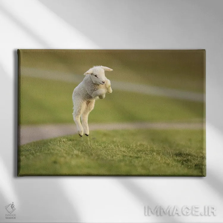 تابلو برهٔ جهنده ۸ اثر المر وایس - نمای روبهرو روی دیوار