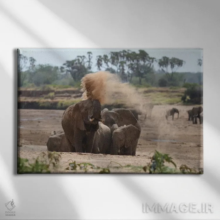 تابلو دوش گرد و غبار اثر المر وایس - نمای روبهرو روی دیوار