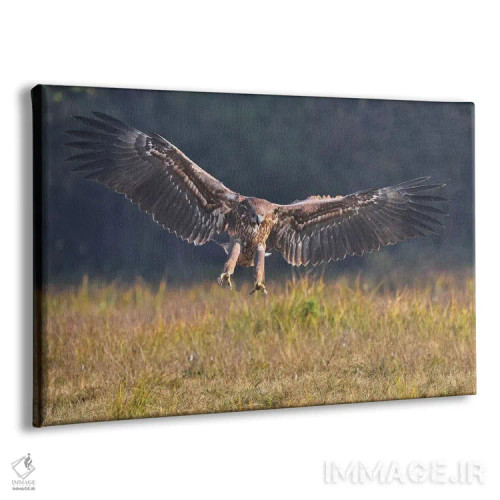 تابلو فرود عقاب اثر المر وایس - نمای پرسپکتیو محصول