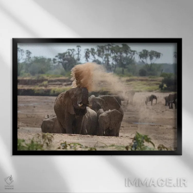 تابلو دوش گرد و غبار اثر المر وایس - نمای قابدار مشکی