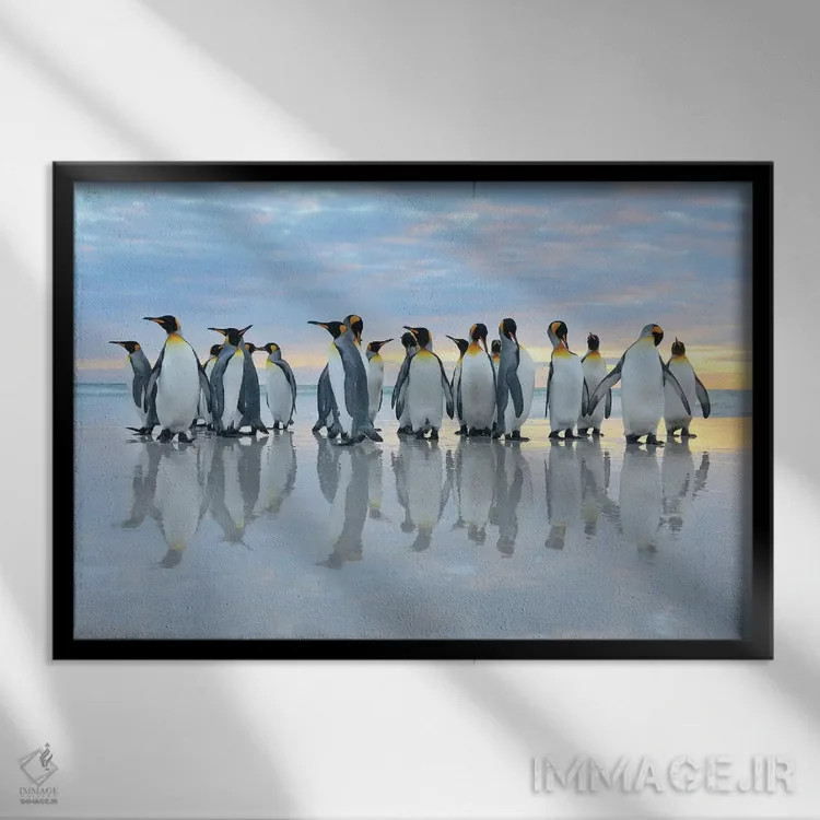 تابلو بازتاب پنگوئنهای پادشاه اثر المر وایس - نمای قابدار مشکی